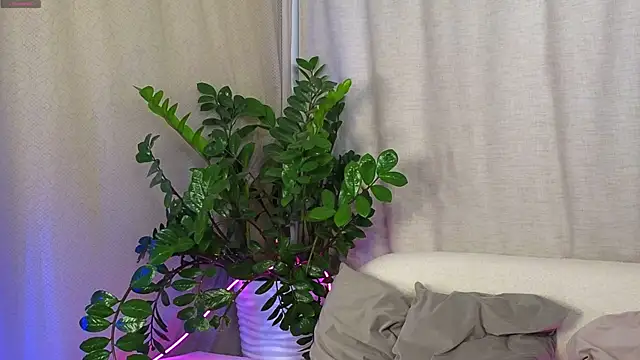 AmeliRoyse online show from 09/15/25, 05:13