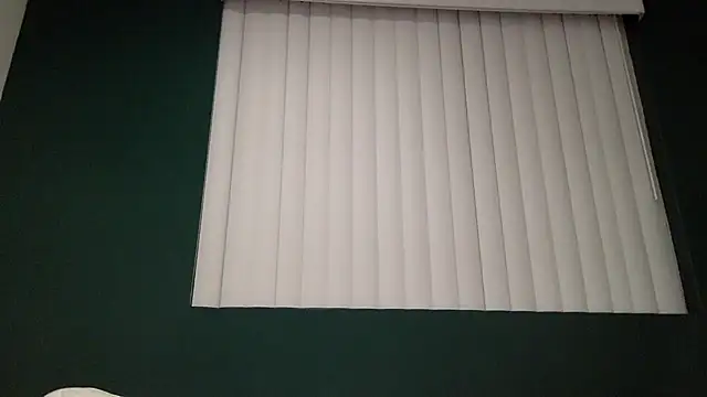 Snapshot of TheDaddy005 chatting on 03/07/25, 02:36 TheDaddy005 online show from 03/07/25, 02:36