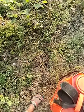 himvilohi08 online show from 01/10/26, 10:54