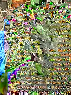 Snapshot of himvilohi08 chatting on 09/27/25, 12:33 himvilohi08 online show from 09/27/25, 12:33