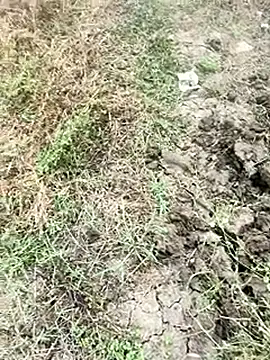 himvilohi08 online show from 01/09/26, 04:08