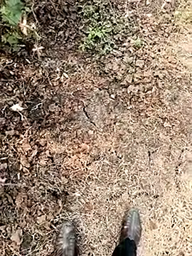 himvilohi08 online show from 01/07/26, 06:18