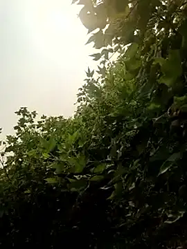 himvilohi08 online show from 10/22/25, 10:25