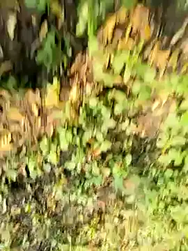 himvilohi08 online show from 10/21/25, 10:47