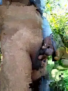 himvilohi08 online show from 12/14/25, 05:24