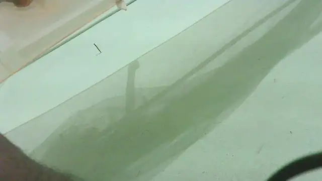 CrazyMove83 online show from 02/25/26, 12:05