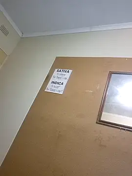 bakedsnackmmh online show from 03/30/26, 06:09