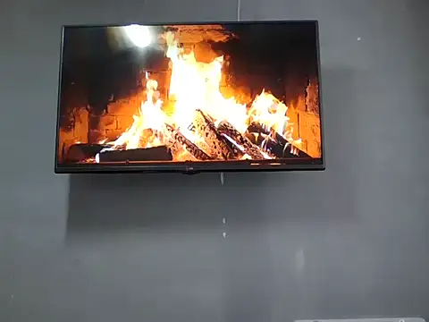 DaphneRosses online show from 11/11/25, 02:12