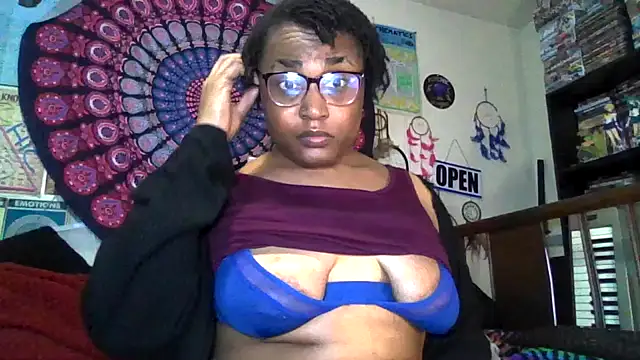 GardeniaFields online show from 04/01/26, 09:45