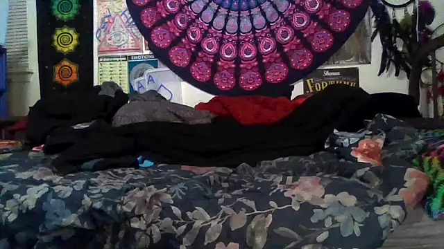 GardeniaFields online show from 02/23/26, 10:38