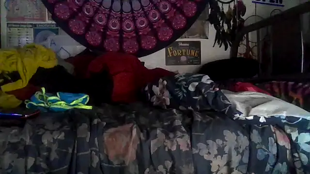 GardeniaFields online show from 02/10/26, 08:46