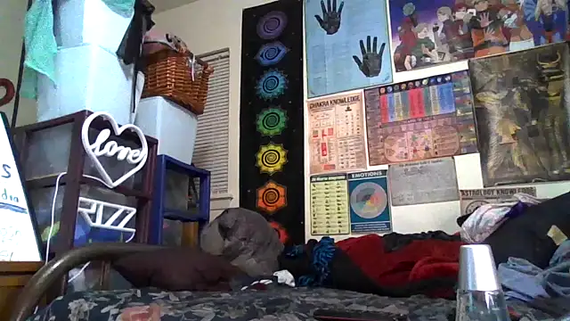 GardeniaFields online show from 10/26/25, 03:51