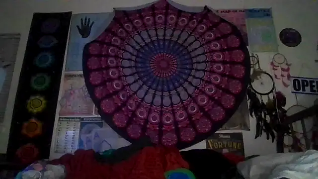 GardeniaFields online show from 03/02/26, 09:16