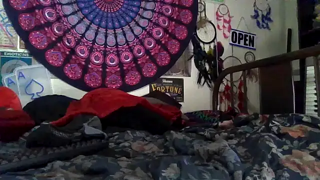 GardeniaFields online show from 04/04/26, 10:33