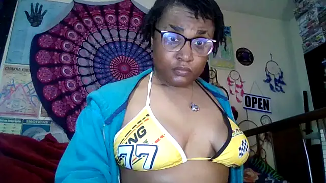 GardeniaFields online show from 04/04/26, 11:44