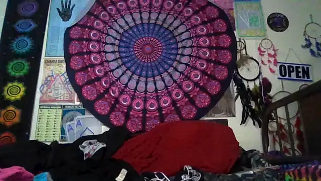 GardeniaFields online show from 02/22/26, 08:28