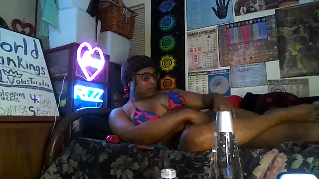 GardeniaFields online show from 10/02/25, 08:50