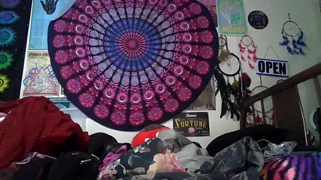 GardeniaFields online show from 02/24/26, 08:59