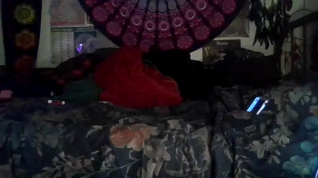 GardeniaFields online show from 02/07/26, 09:06