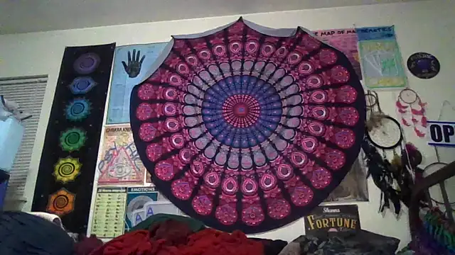 GardeniaFields online show from 03/20/26, 09:32