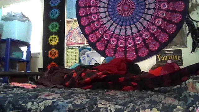 GardeniaFields online show from 02/22/26, 08:43