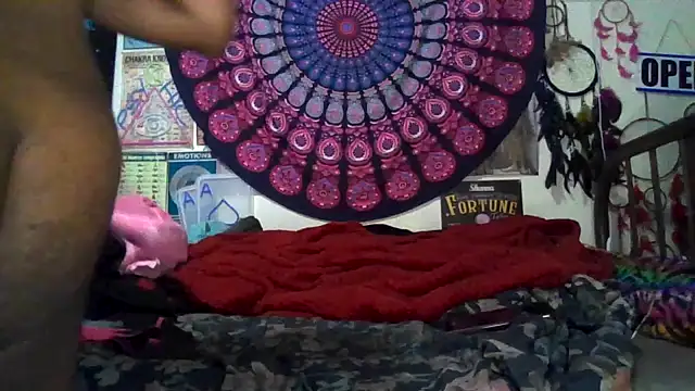 GardeniaFields online show from 03/08/26, 09:56