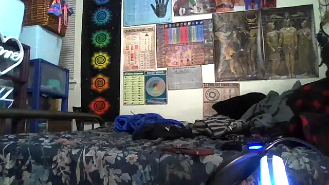 GardeniaFields online show from 11/04/25, 08:18