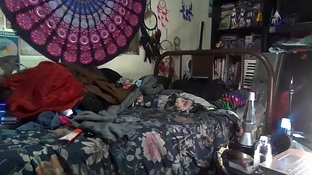 GardeniaFields online show from 12/17/25, 04:50