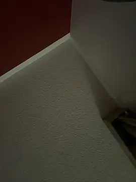 flores6cachondo9 online show from 12/19/25, 03:58