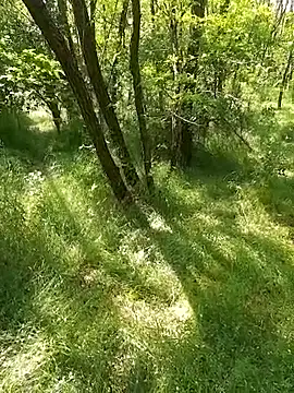 sile47 online show from 05/24/26, 12:16