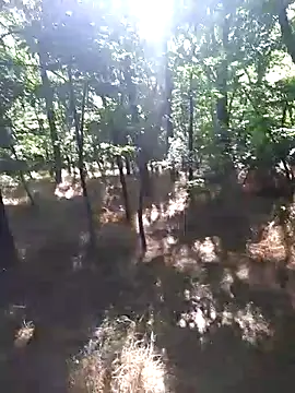 sile47 online show from 06/14/26, 01:01
