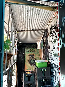 val zx online show from 10/02/25, 04:21