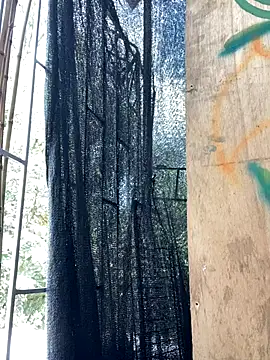 val zx online show from 09/10/25, 06:29