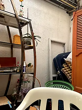 val zx online show from 01/07/26, 02:33