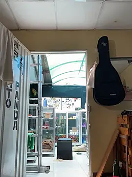 val zx online show from 09/11/25, 04:18