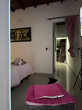 Paulet Johnson online show from 01/18/26, 01:31