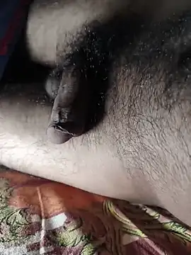 Mr skywalker online show from 03/28/26, 11:33