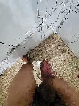 Snapshot of Pauloosil chatting on 03/12/25, 01:51 Pauloosil online show from 03/12/25, 01:51