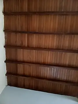 Sexi girl29 online show from 02/11/26, 01:00