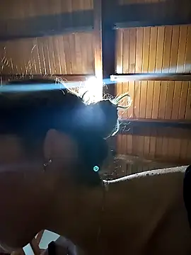 Sexi girl29 online show from 11/01/25, 09:41