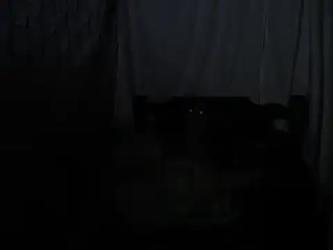 SHARONYJQVI online show from 03/22/25, 05:39