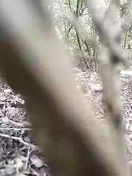 CertifiedSatisfier online show from 11/12/25, 10:41