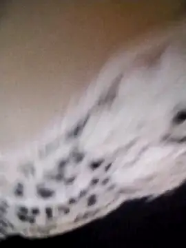 az9ovsqjqhva online show from 11/08/25, 11:52