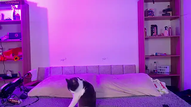 Soy mangx online show from 01/11/26, 03:02