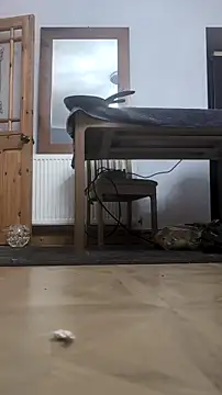 Nick-Ox online show from 02/13/26, 08:53