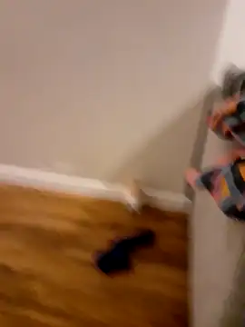 Nick-Ox online show from 11/15/25, 04:22