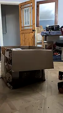 Nick-Ox online show from 02/24/26, 06:09