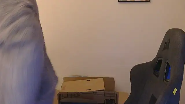 orangegummybear online show from 09/29/25, 03:57