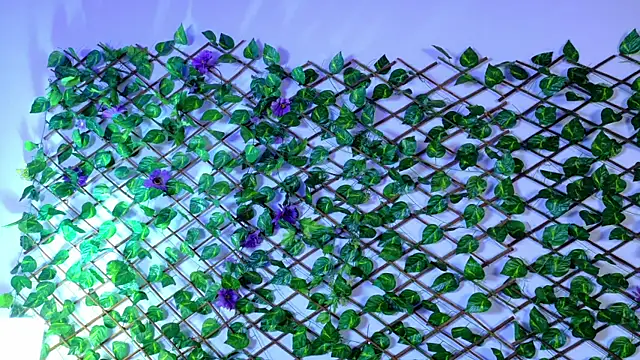 alice rous21 online show from 10/07/25, 01:34