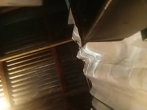 rasvinchi online show from 06/01/26, 01:00